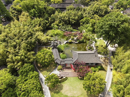 活化古典园林，赋能‘最江南’——探访江苏省文化和旅游重点实验室园林