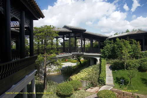 广府园林 岭南文化的艺术瑰宝