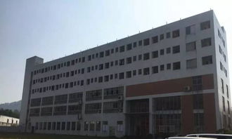 园林式食品厂房出租 番禺钟村16000平方标准厂房，融合绿色生态与产业功能