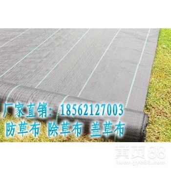 园林除草布 高效防草解决方案与市场趋势探析