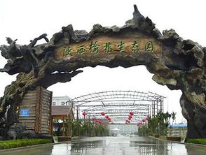 生态园的灵魂构筑 解析假树大门的设计与营造