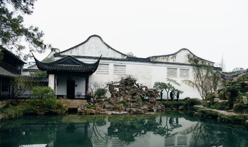 苏州幽巷藏奇景，明轩气韵渡重洋