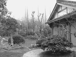 方寸苗圃，匠心筑梦 在有限空间里打造精品园林的艺术